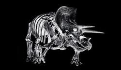 vARtrbpDINoSAUrINv145x250