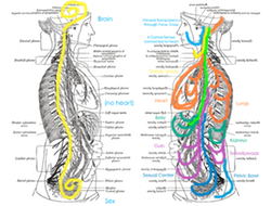 vVAGusPORgesMe20110922250